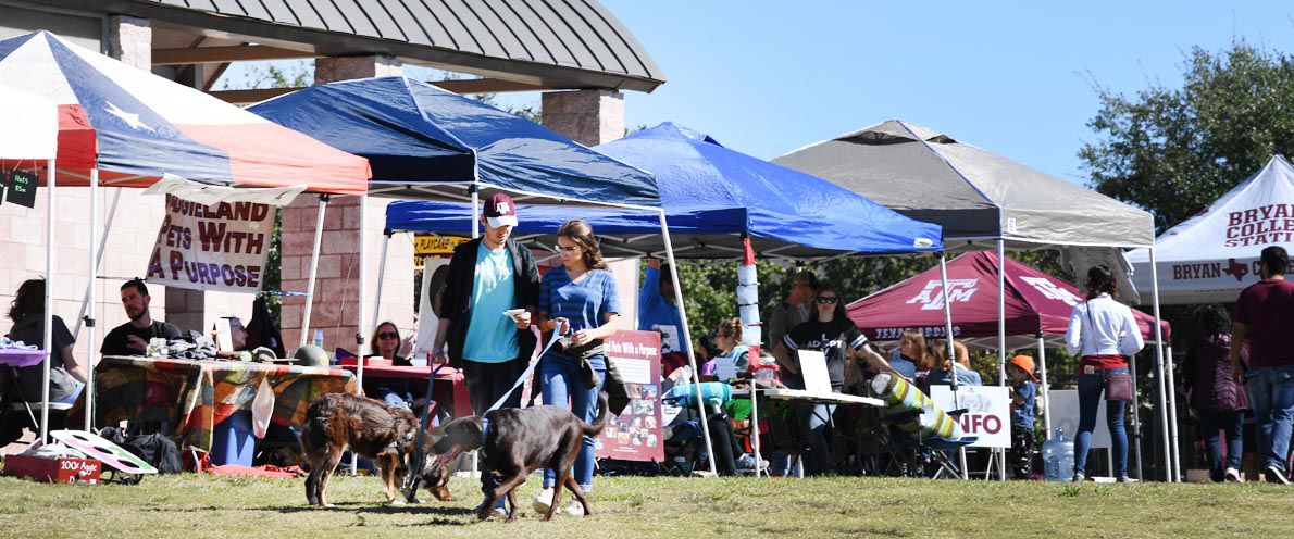 Weiner Fest 2017 8.jpg